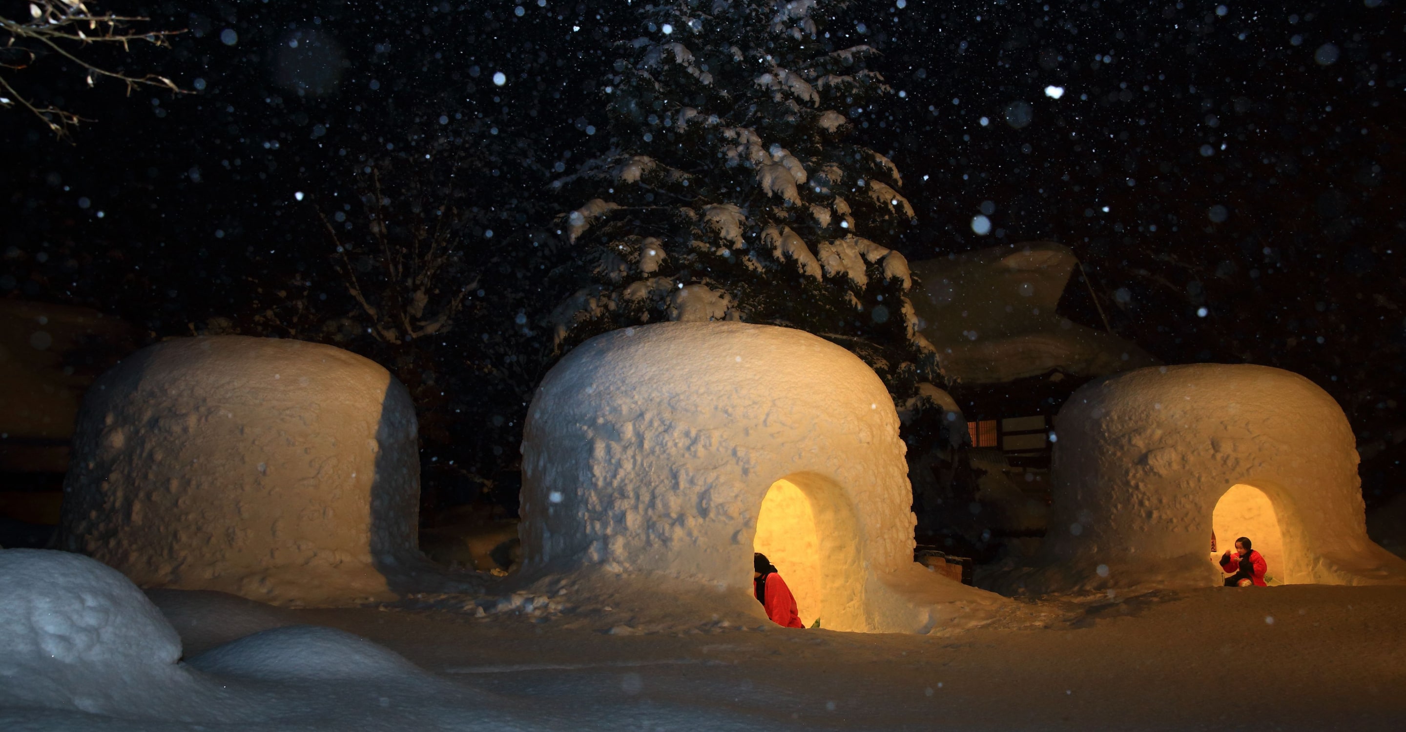 秋田県横手市のかまくらと、夜に深々と雪が降っている様子