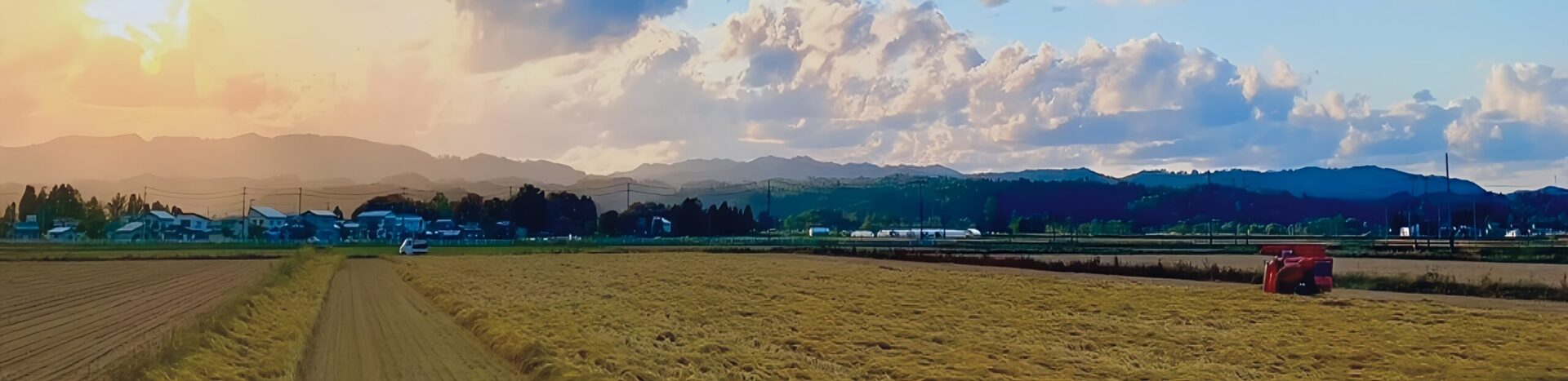 佐々木製麹本舗が所有する田園風景